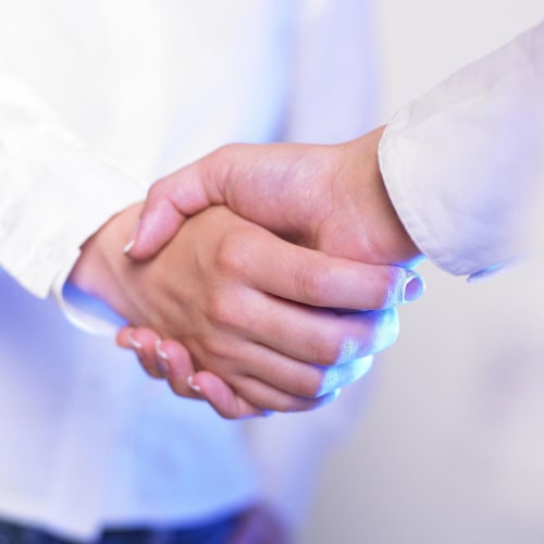 Two hands meeting in a handshake, the mutual agreement